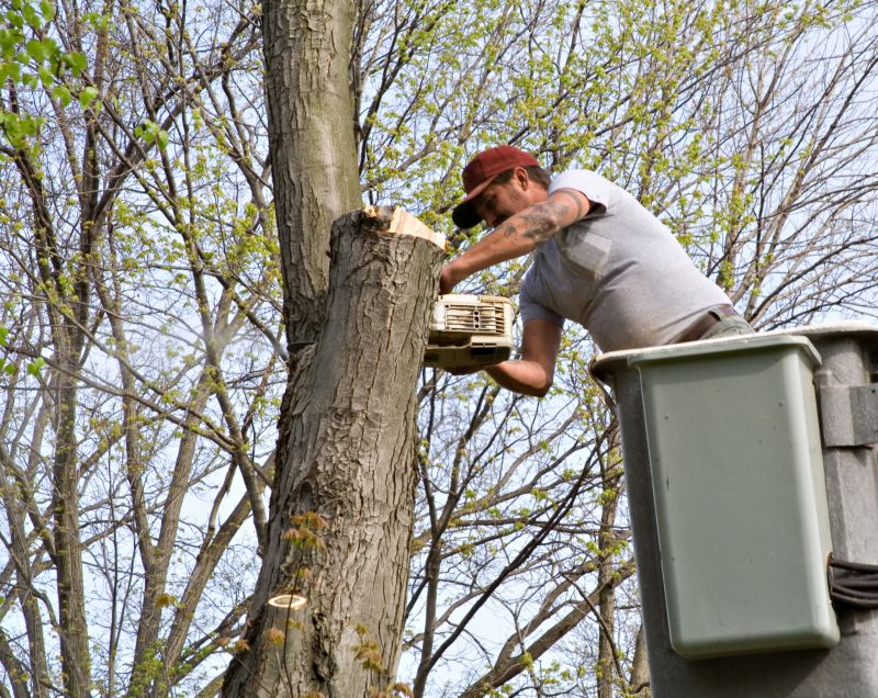 Tree Service detail