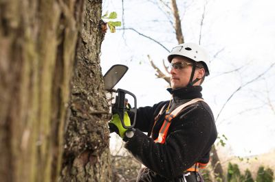 Equipment for Tree Trimming